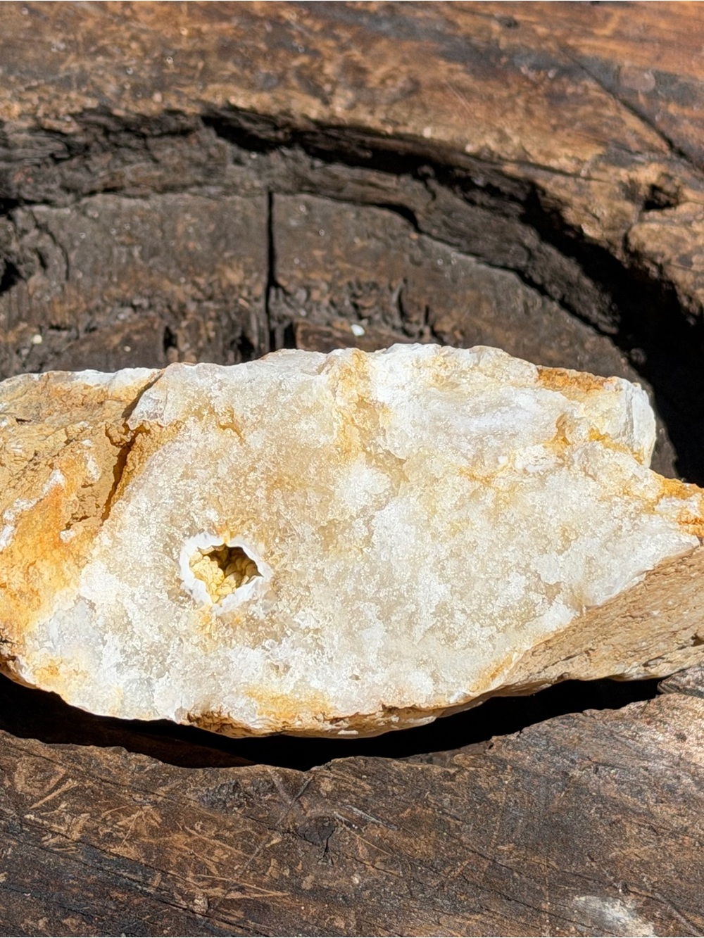 Large Raw Geode Specimen | Great Collectors Item or Geology Gift